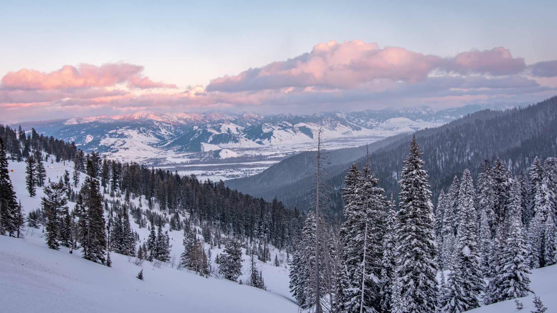 Asigurare de calatorie pentru Statele Unite
